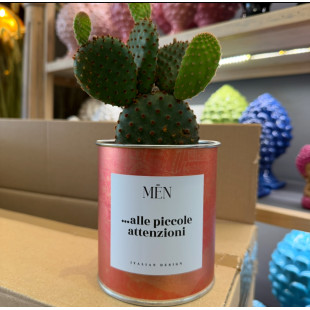 CACTUS MËN ".. ALLE PICCOLE ATTENZIONI"