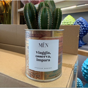 CACTUS MËN "VIAGGIA, OSSERVA, IMPARA"