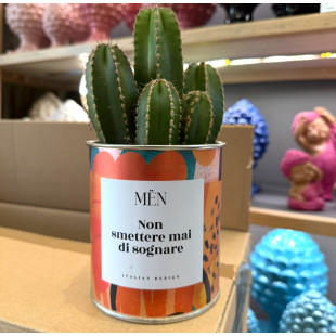 CACTUS MËN "NON SMETTERE MAI DI SOGNARE"