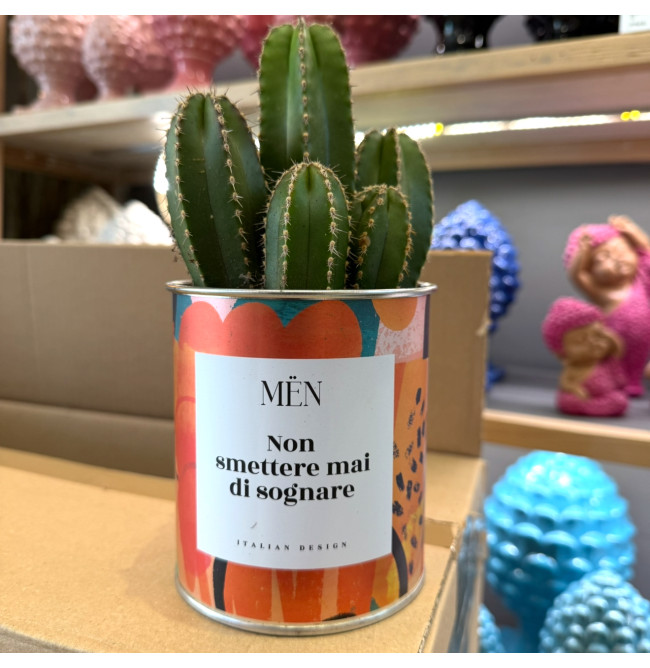 CACTUS MËN "NON SMETTERE MAI DI SOGNARE"