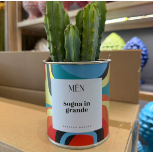 CACTUS MËN "SOGNA IN GRANDE"