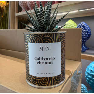 CACTUS MËN "COLTIVA CIO' CHE AMI"
