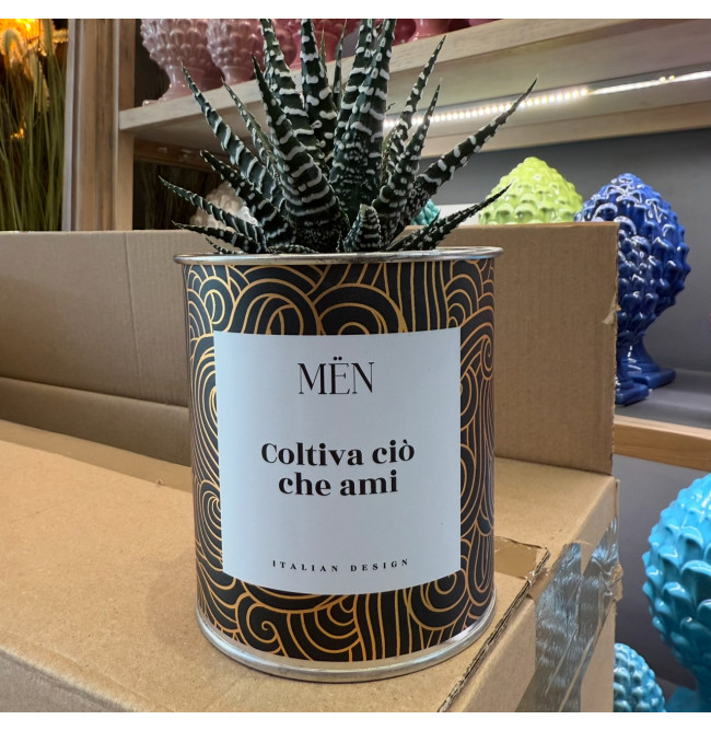 CACTUS MËN "COLTIVA CIO' CHE AMI"