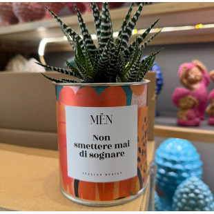 CACTUS MËN "NON SMETTERE MAI DI SOGNARE"