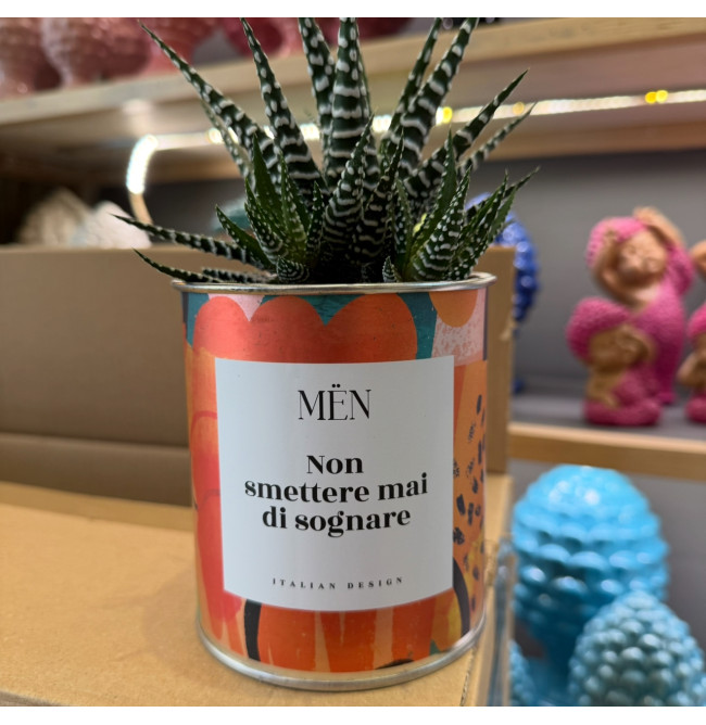 CACTUS MËN "NON SMETTERE MAI DI SOGNARE"