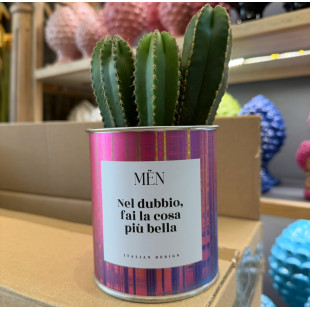 CACTUS MËN "NEL DUBBIO FAI LA COSA PIU' BELLA"
