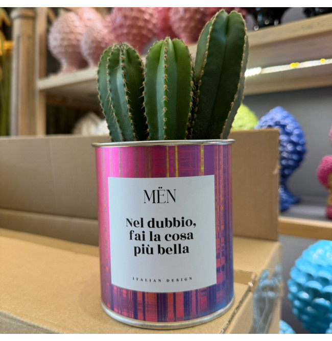 CACTUS MËN "NEL DUBBIO FAI LA COSA PIU' BELLA"