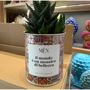 CACTUS MËN "IL MONDO E' UN MOSAICO DI BELLEZZA"