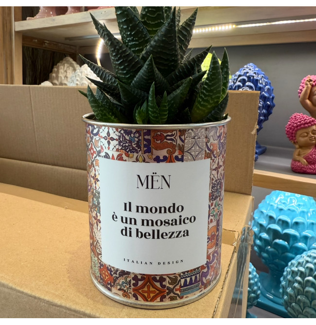 CACTUS MËN "IL MONDO E' UN MOSAICO DI BELLEZZA"