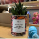 CACTUS MËN &quot;VIVI LA VITA CHE HAI IMMAGINATO&quot;