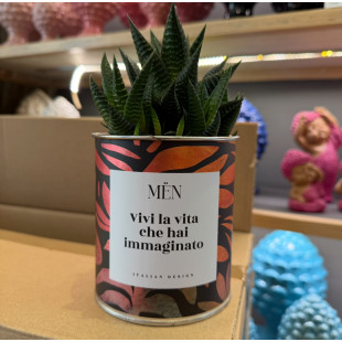 CACTUS MËN "VIVI LA VITA CHE HAI IMMAGINATO"