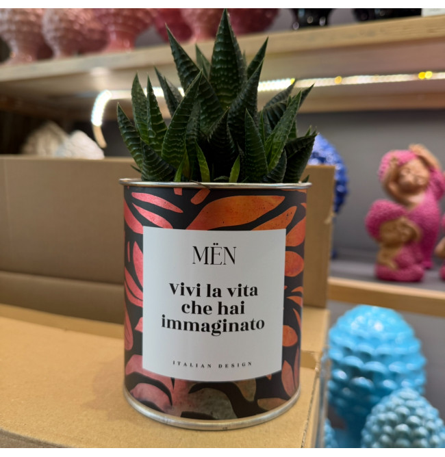 CACTUS MËN "VIVI LA VITA CHE HAI IMMAGINATO"