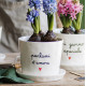 VASO &quot;PARLAMI D&#039;AMORE&quot;