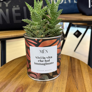 CACTUS MËN "VIVI LA VITA CHE HAI IMMAGINATO"