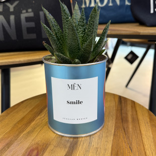 CACTUS MËN "SMILE"