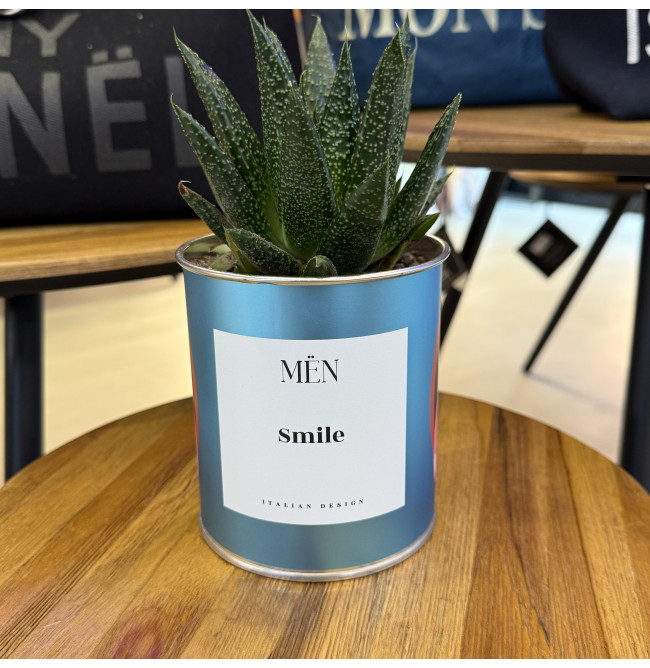 CACTUS MËN "SMILE"
