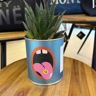 CACTUS MËN "SMILE"