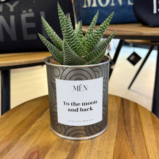 CACTUS MËN "TO THE MOON AND BACK"