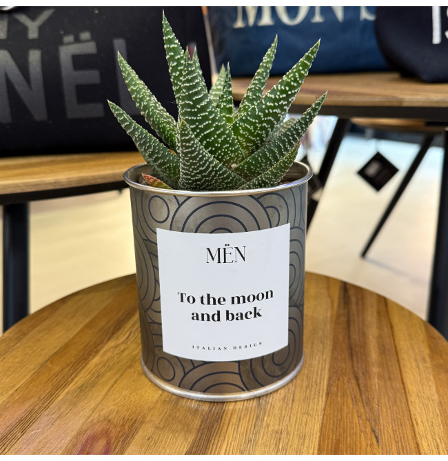 CACTUS MËN "TO THE MOON AND BACK"