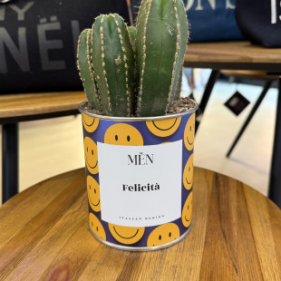 CACTUS MËN "FELICITA'"