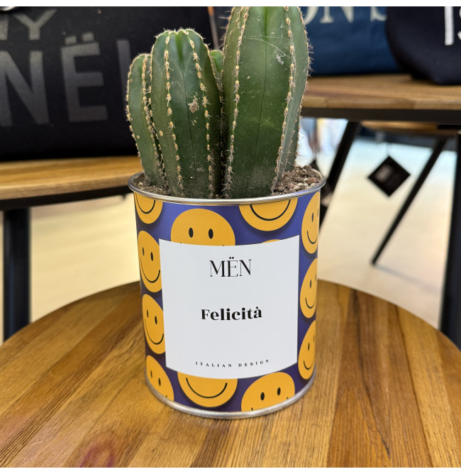 CACTUS MËN "FELICITA'"