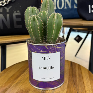 CACTUS MËN "FAMIGLIA"