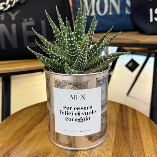 CACTUS MËN "PER ESSERE FELICI CI VUOLE CORAGGIO"