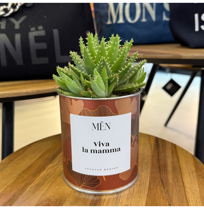 CACTUS MËN "VIA LA MAMMA"
