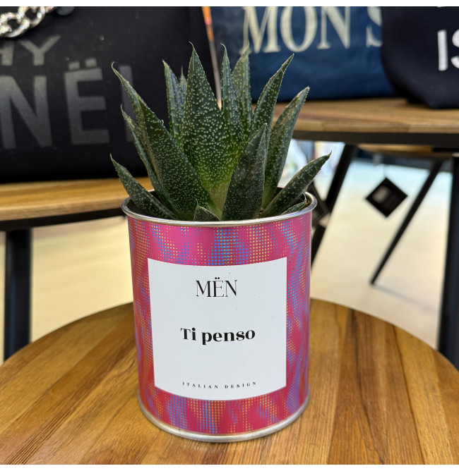 CACTUS MËN "TI PENSO"