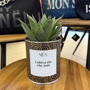 CACTUS MËN "COLTIVA CIO' CHE AMI"