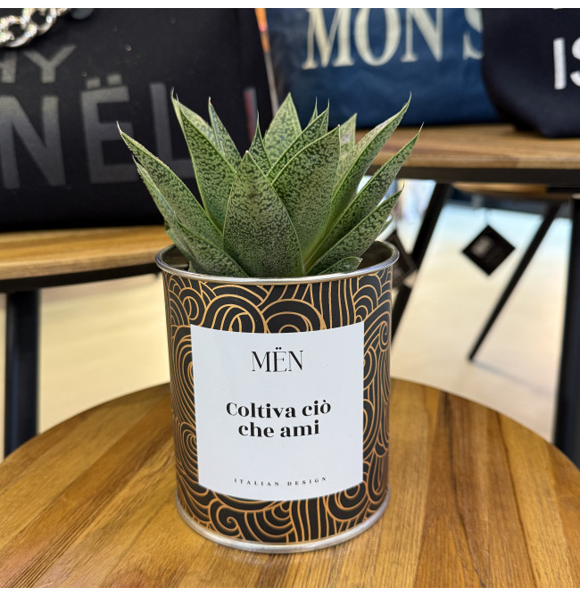 CACTUS MËN "COLTIVA CIO' CHE AMI"
