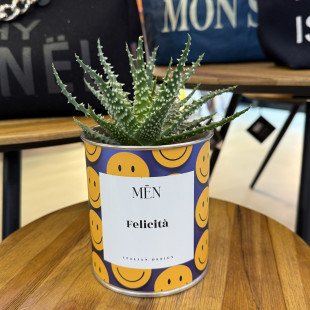 CACTUS MËN "FELICITA'"