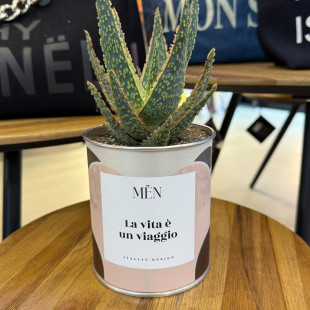 CACTUS MËN "LA VITA E' UN VIAGGIO"