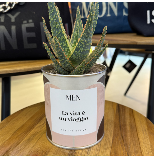 CACTUS MËN "LA VITA E' UN VIAGGIO"