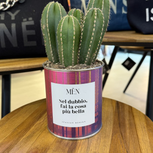CACTUS MËN "NEL DUBBIO FAI LA COSA PIU' BELLA"