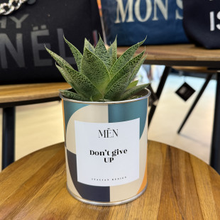CACTUS MËN "DON'T GIVE UP"