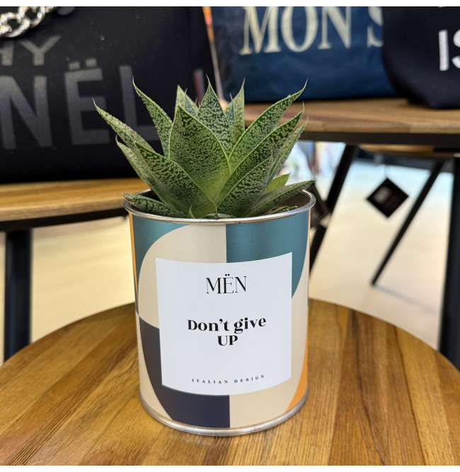 CACTUS MËN "CON'T GIVE UP"