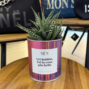 CACTUS MËN "NEL DUBBIO FAI LA COSA PIU' BELLA"
