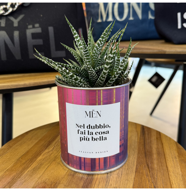 CACTUS MËN "NEL DUBBIO FAI LA COSA PIU' BELLA"