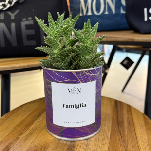 CACTUS MËN "FAMIGLIA"