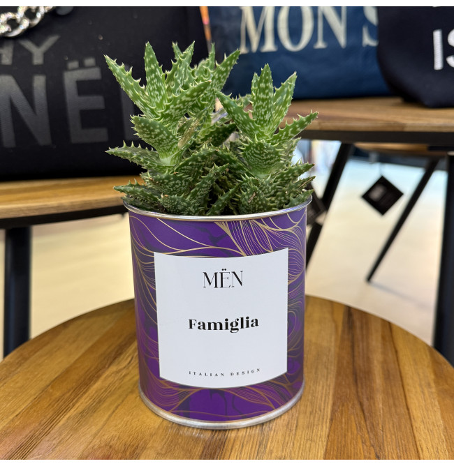 CACTUS MËN "FAMIGLIA"