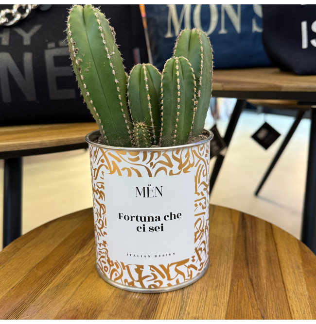 CACTUS MËN "FORTUNA CHE CI SEI"