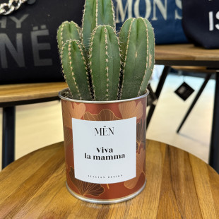 CACTUS MËN "VIA LA MAMMA"