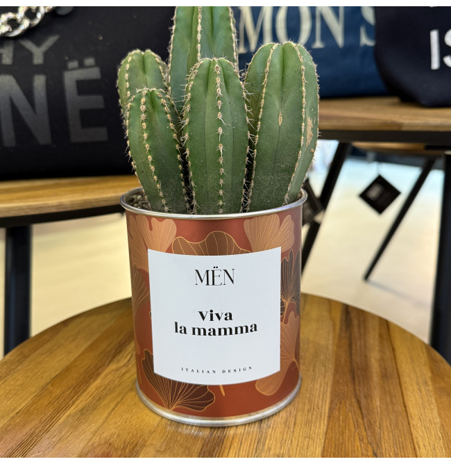 CACTUS MËN "VIA LA MAMMA"
