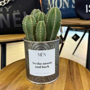 CACTUS MËN "TO THE MOON AND BACK"