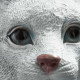 LAMPADA CHOUCHOU GATTO BIANCO