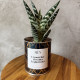 CACTUS MËN &quot;UN SORRISO TI SVOLTA LA GIORNATA&quot;