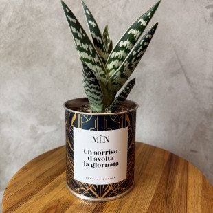 CACTUS MËN "UN SORRISO TI SVOLTA LA GIORNATA"