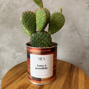 CACTUS MËN "TUTTO E' POSSIBILE"