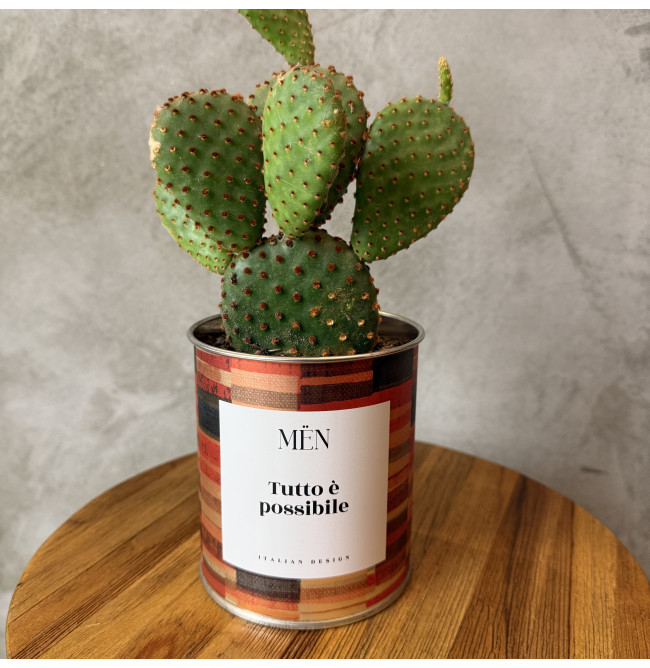 CACTUS MËN "TUTTO E' POSSIBILE"